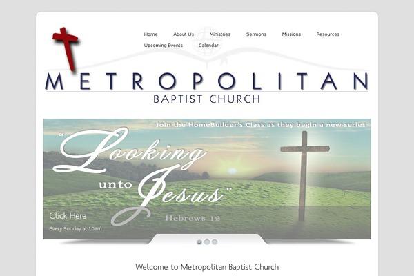 Dzonia theme site design template sample
