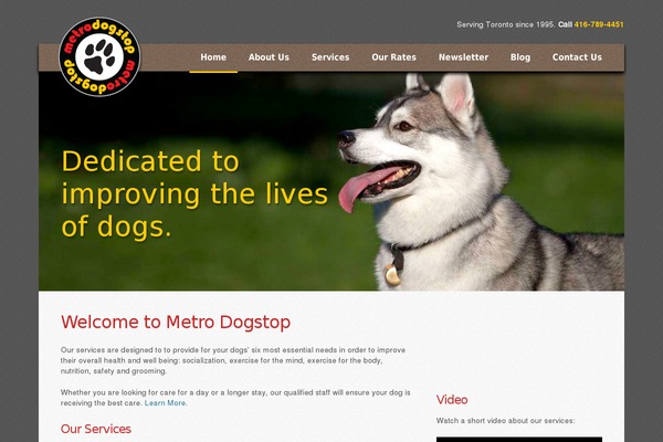 decente-child theme websites examples