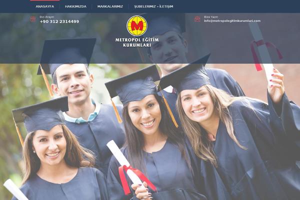 Consulting theme site design template sample