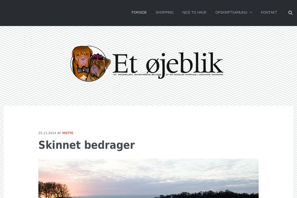 mettebech.dk site used Semantic