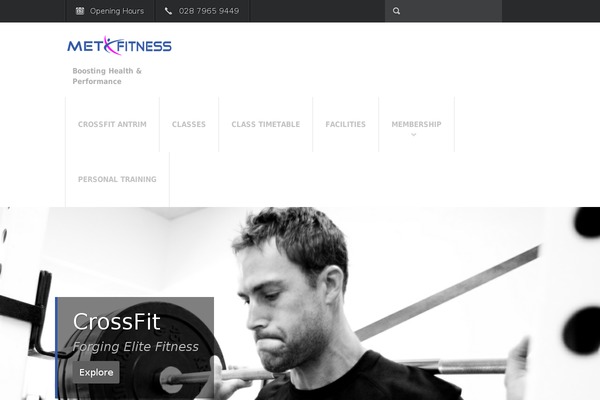 Fit Wp theme site design template sample