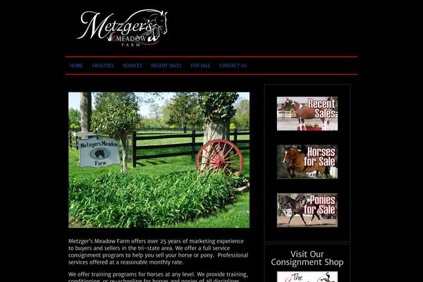 metzgersmeadow.com site used Clean-black-child
