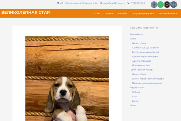 Site using Jet-blog plugin