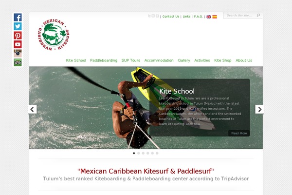 Chameleon theme site design template sample