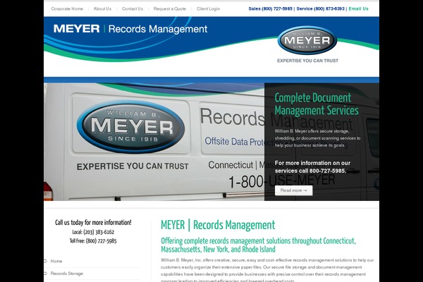 Cleanex theme site design template sample