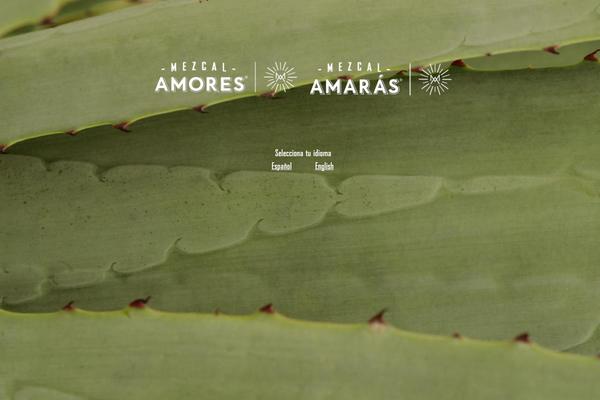 Site using Google Analyticator plugin