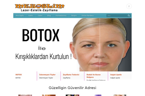 Site using Contact Popup plugin