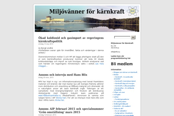 WordPress website example screenshot