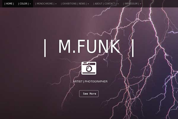 gt3-wp-pure theme websites examples