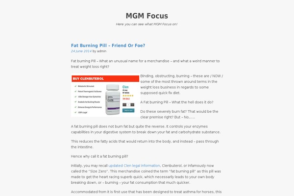 mgmfocus.com site used Baris