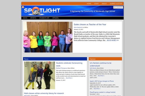 Sno Flex theme site design template sample