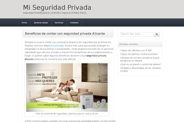 Akita theme site design template sample