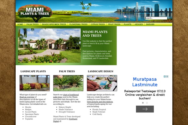 iCompany theme site design template sample