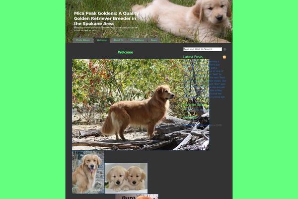 K2 theme site design template sample