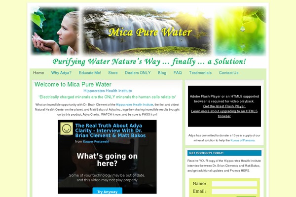 Lifestyle theme site design template sample