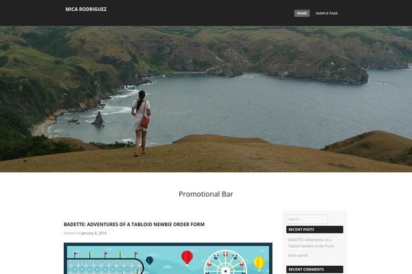 Adamos theme site design template sample