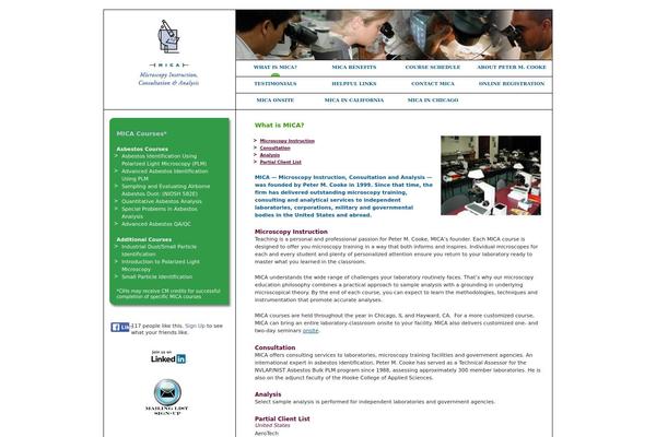 mica theme websites examples