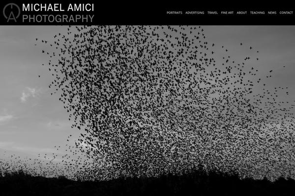 Hayden theme site design template sample