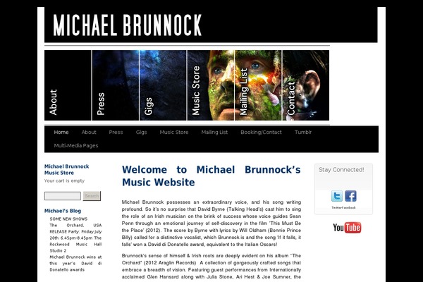 Site using Advanced-social-widget plugin