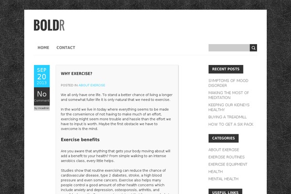 BoldR Lite theme site design template sample