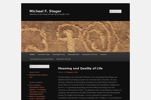 Site using WP Slimstat plugin