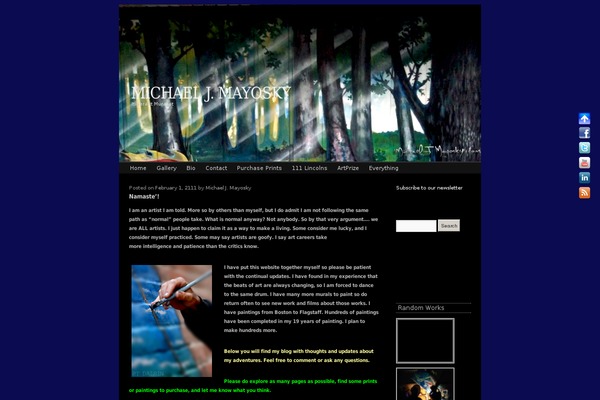 michaeljmayosky.com site used Atmosphere 2010