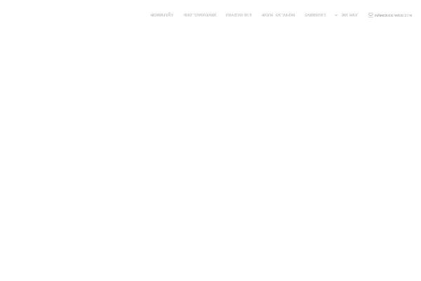 Site using Revslider-revealer-addon plugin