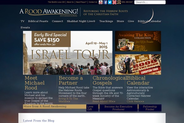 Ara theme site design template sample