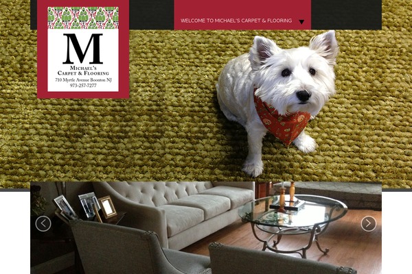 michaelscarpet2.com site used Finepro