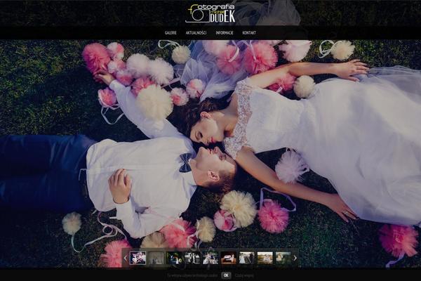 Photolux theme site design template sample