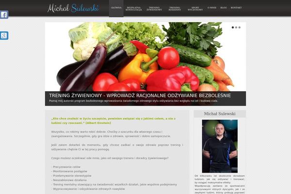 Pyramid theme site design template sample