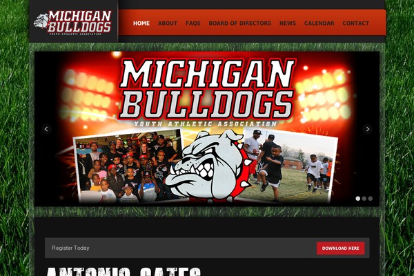 Site using Facebook-activity-feed-widget-for-wordpress plugin