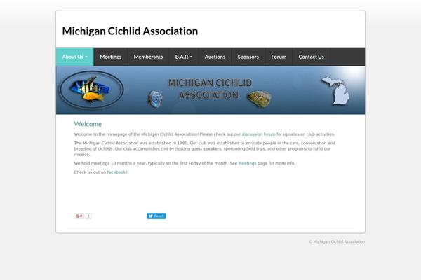 Gdmedical theme site design template sample