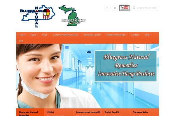 Healthpress Theme theme site design template sample