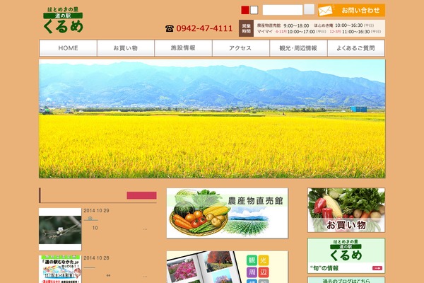 Site using Google Analytics Popular Posts plugin