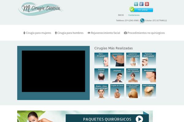 Capture theme site design template sample