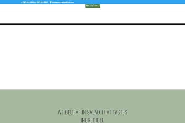 Divi Child theme site design template sample