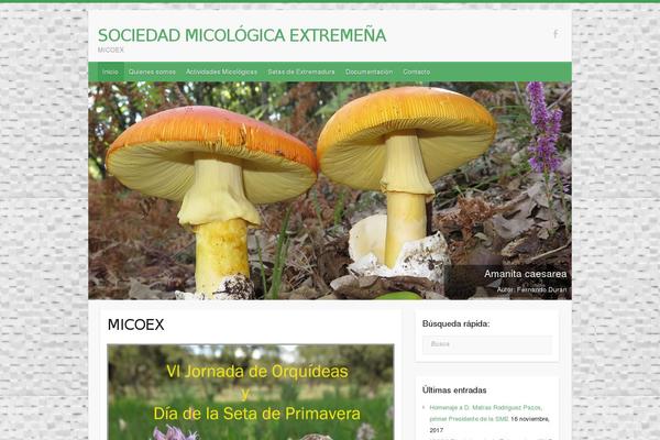 Site using WP Ultimate Post Grid plugin