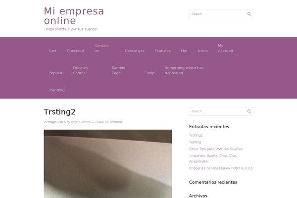 Site using Linguise plugin