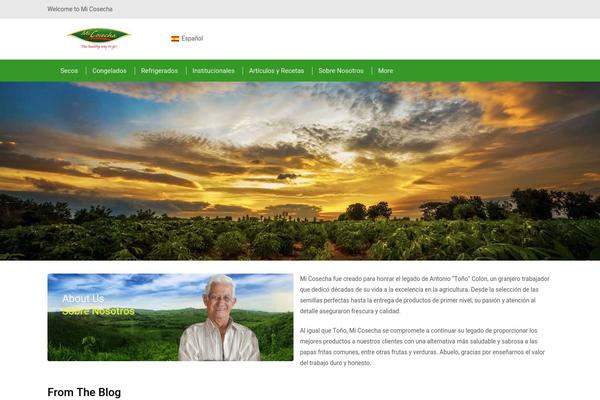 Site using Wpml-translation-management plugin