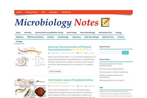 MesoColumn theme site design template sample