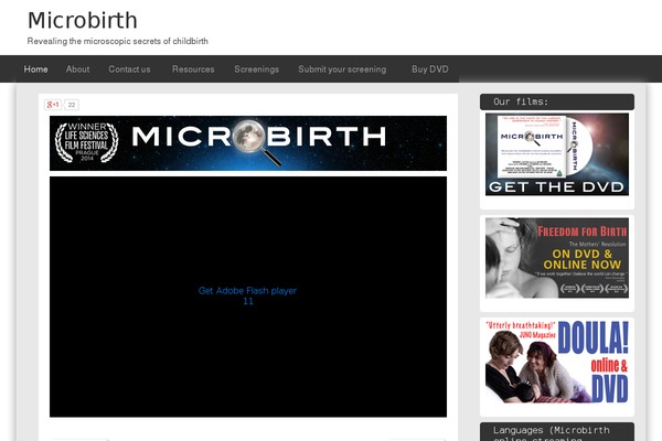 Site using Simple-social-buttons plugin