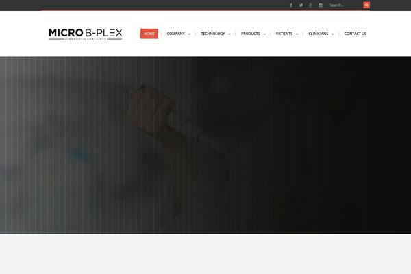 Final theme site design template sample