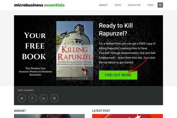 SteadyIncome theme site design template sample
