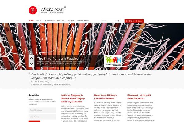 Site using Destaca-masonry-gallery plugin