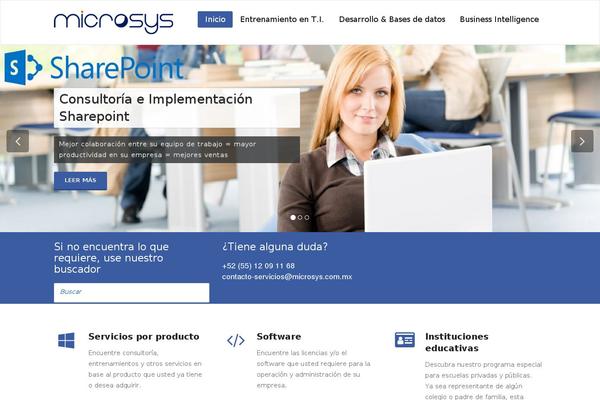 Appointment theme site design template sample