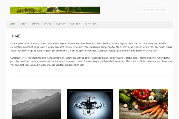 Typegrid11 theme site design template sample