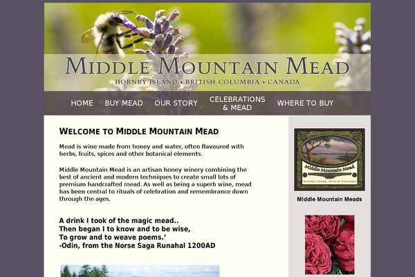 Site using Wp-terms-popup plugin