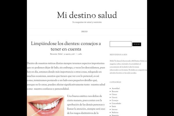 BadJohnny theme site design template sample