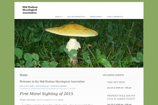 Dandelion theme site design template sample